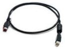 Cable, Mod Bus, Powered USB, 4’